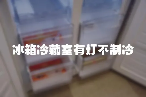 冰箱冷藏室有燈不制冷