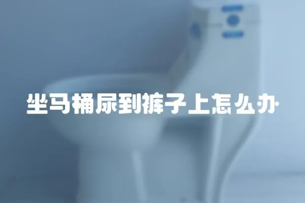 坐馬桶尿到褲子上怎么辦
