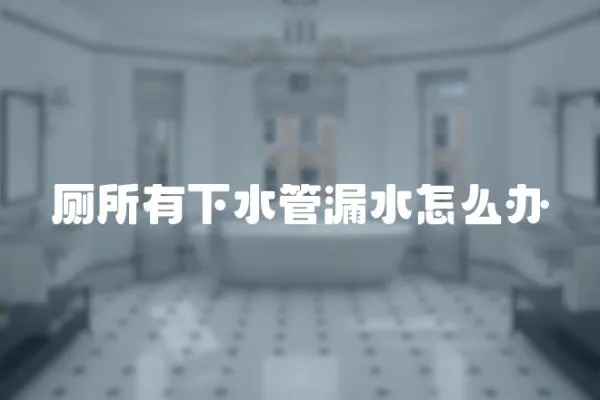 廁所有下水管漏水怎么辦