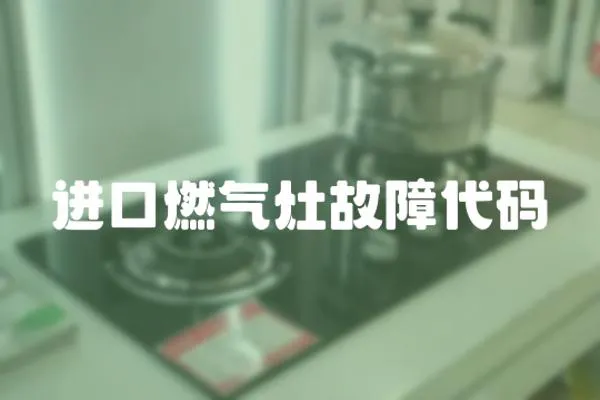 進(jìn)口燃?xì)庠罟收洗a