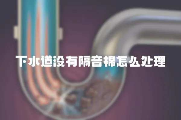 下水道沒有隔音棉怎么處理