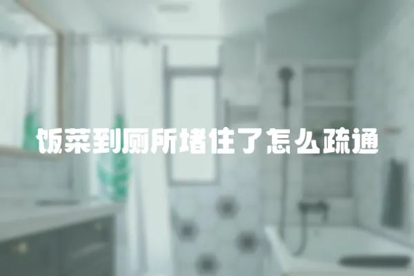 飯菜到廁所堵住了怎么疏通