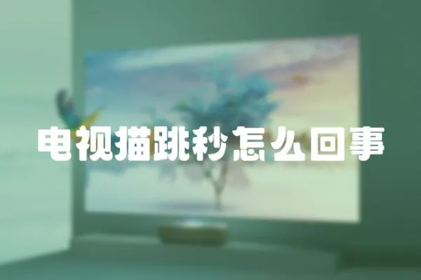 電視貓跳秒怎么回事