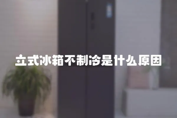立式冰箱不制冷是什么原因