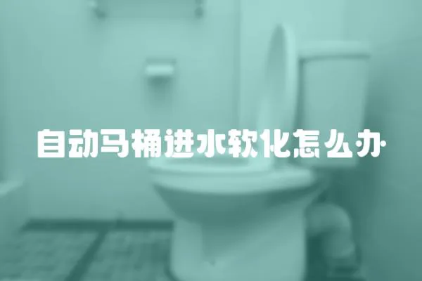 自動馬桶進水軟化怎么辦