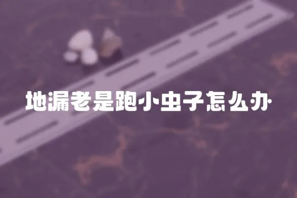 地漏老是跑小蟲子怎么辦
