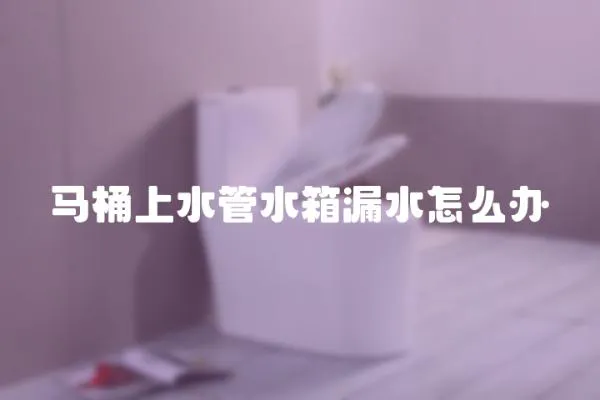 馬桶上水管水箱漏水怎么辦