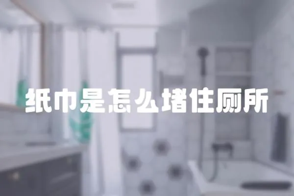 紙巾是怎么堵住廁所