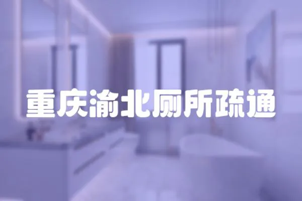 重慶渝北廁所疏通