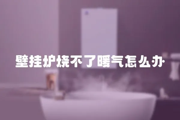 壁掛爐燒不了暖氣怎么辦