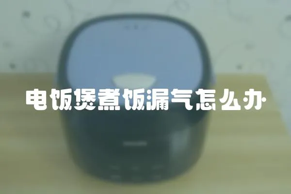 電飯煲煮飯漏氣怎么辦