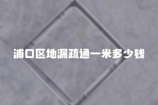 浦口區地漏疏通一米多少錢