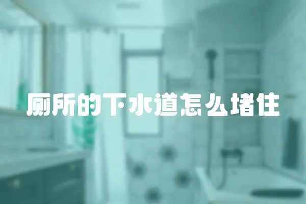 廁所的下水道怎么堵住