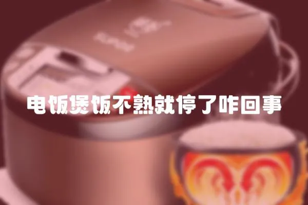 電飯煲飯不熟就停了咋回事