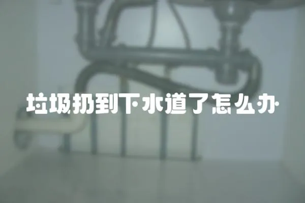 垃圾扔到下水道了怎么辦