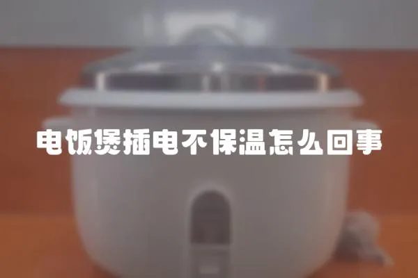 電飯煲插電不保溫怎么回事