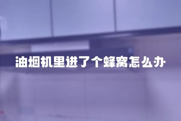 油煙機里進了個蜂窩怎么辦