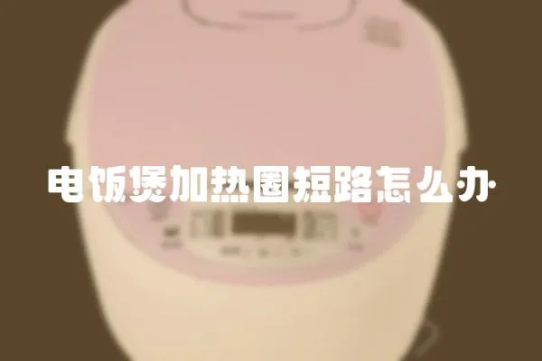 電飯煲加熱圈短路怎么辦