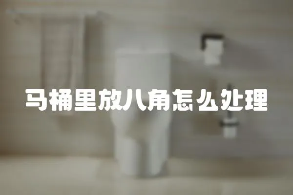 馬桶里放八角怎么處理