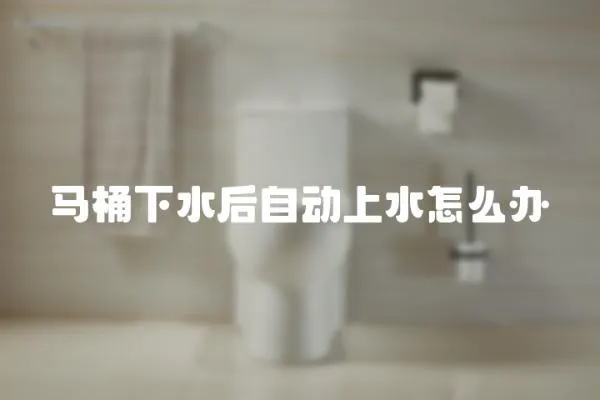 馬桶下水后自動上水怎么辦