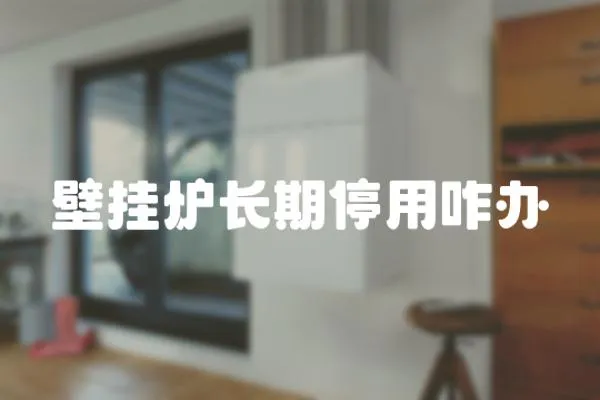 壁掛爐長期停用咋辦