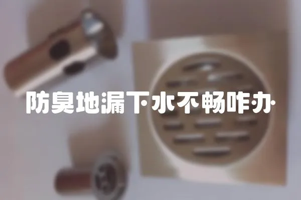 防臭地漏下水不暢咋辦