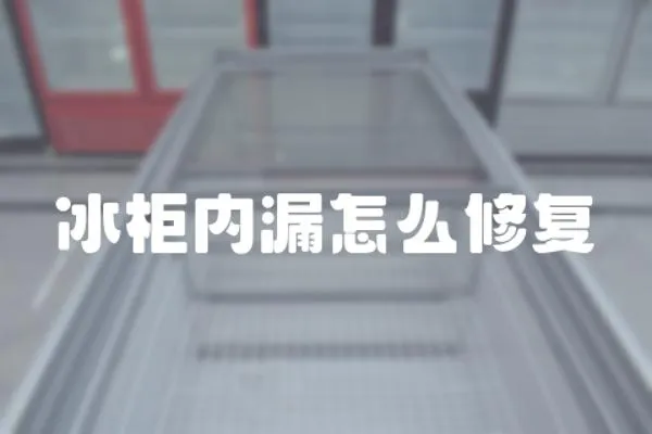冰柜內漏怎么修復