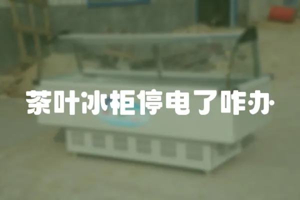 茶葉冰柜停電了咋辦