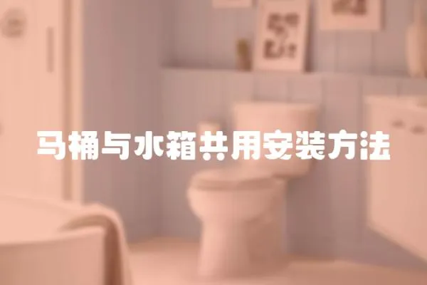 馬桶與水箱共用安裝方法