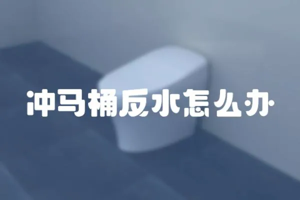 沖馬桶反水怎么辦