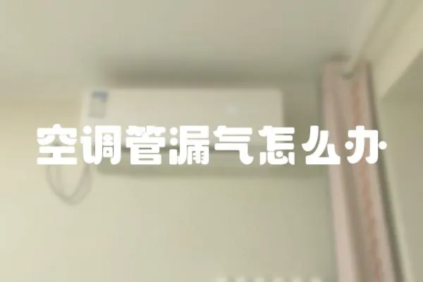 空調(diào)管漏氣怎么辦