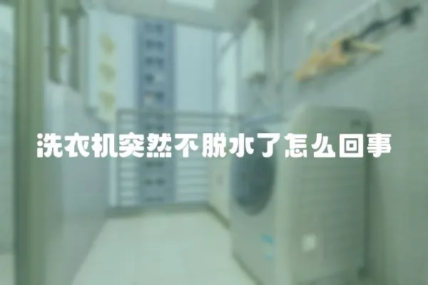 洗衣機突然不脫水了怎么回事