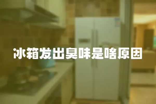 冰箱發出臭味是啥原因