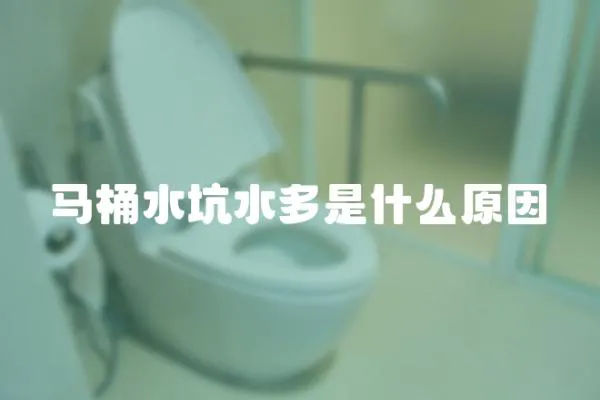 馬桶水坑水多是什么原因