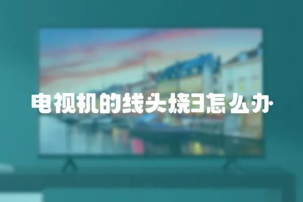 電視機的線頭燒3怎么辦