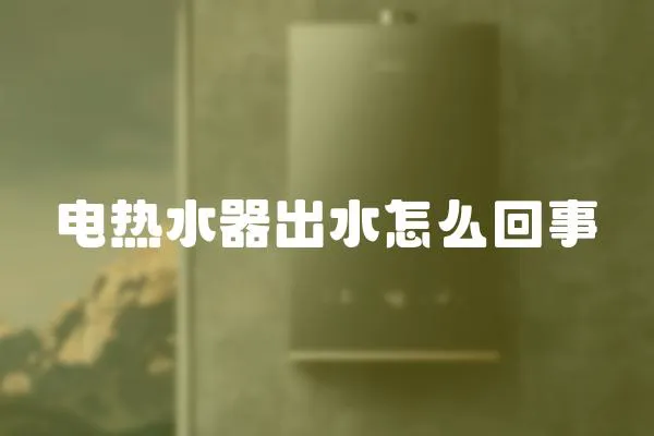 電熱水器出水怎么回事