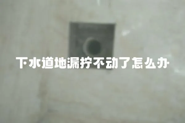 下水道地漏擰不動了怎么辦