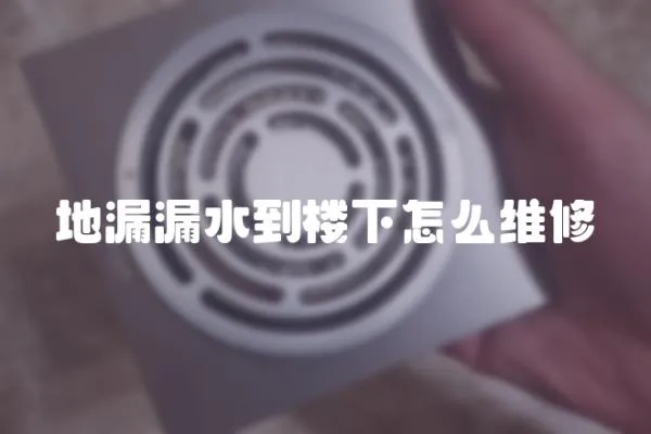 地漏漏水到樓下怎么維修