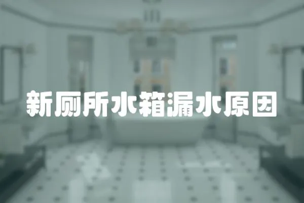 新廁所水箱漏水原因