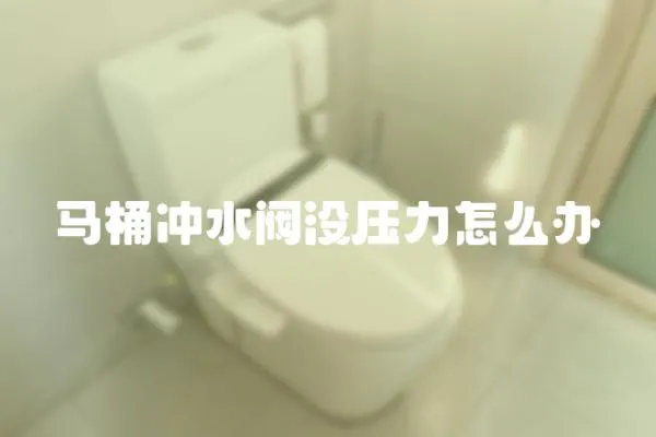 马桶冲水阀没压力怎么办