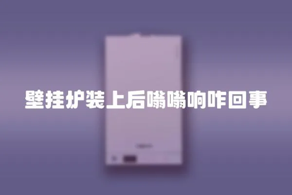 壁掛爐裝上后嗡嗡響咋回事