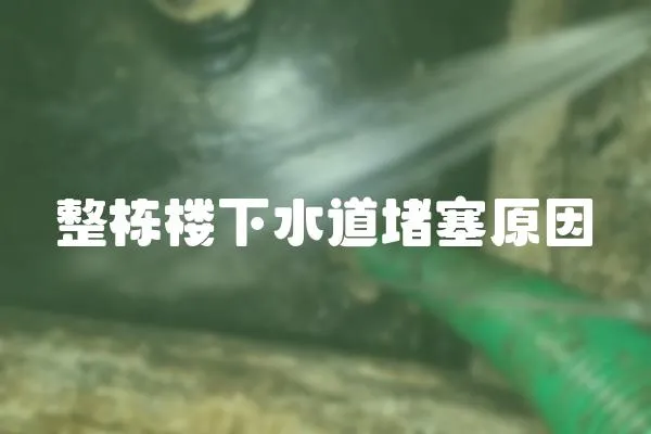整棟樓下水道堵塞原因