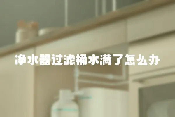 凈水器過濾桶水滿了怎么辦