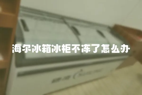 海爾冰箱冰柜不凍了怎么辦