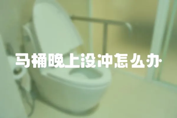 馬桶晚上沒沖怎么辦