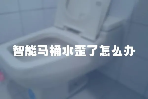 智能馬桶水歪了怎么辦