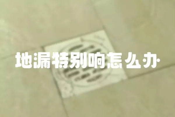 地漏特別響怎么辦