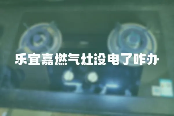 樂宜嘉燃氣灶沒電了咋辦