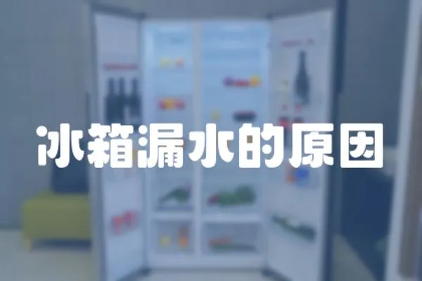 冰箱漏水的原因