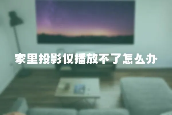 家里投影儀播放不了怎么辦